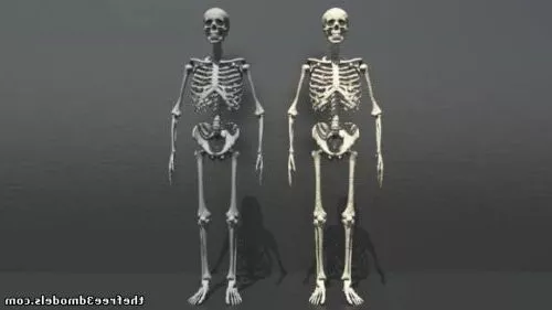 Handsome Man Character 3d model