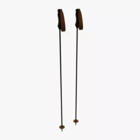 Ski Poles Sport Equipment 3d model