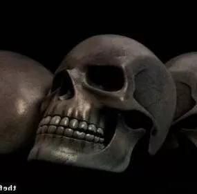 Man Skull 3d model
