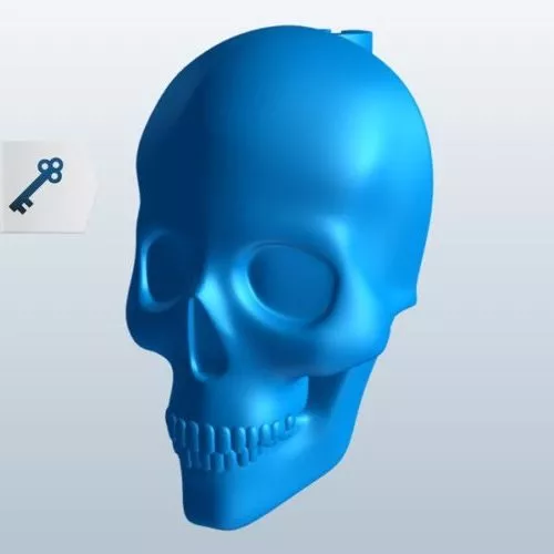 Prehistoric Skull 3d model