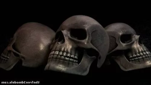 Arm Skeleton Bone 3d model
