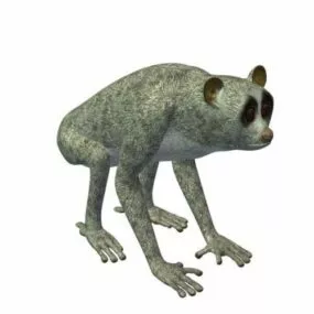 Slender Loris Animal 3d model