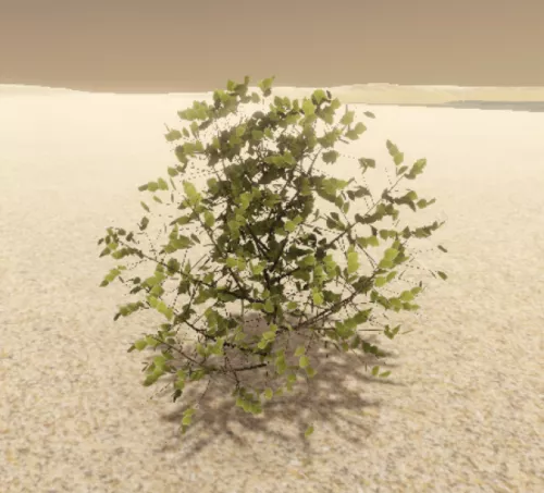Bushes Haloxylon Dry Branches 3d model