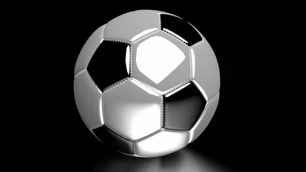 Soccer Ball Black White 3d model