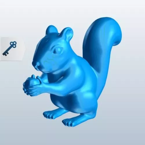 Squirrel Cartoon 3d model