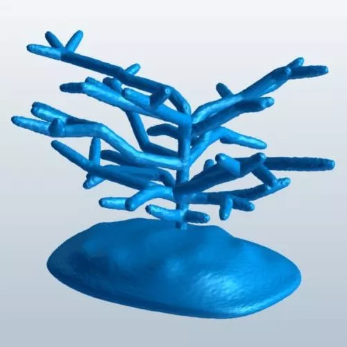 Modern Wall Decoration Bubbles Texture 3d model