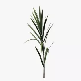 Sugarcane Field Plant 3d model