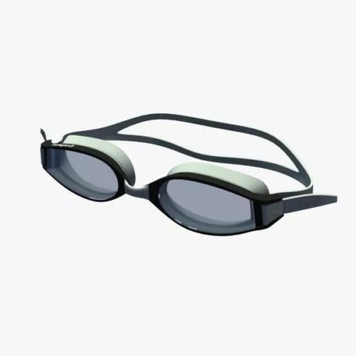 Common Swimming Goggles 3d model