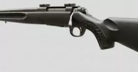 Tc Compass Rifle Gun 3d model