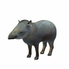 Tapir Animal 3d model