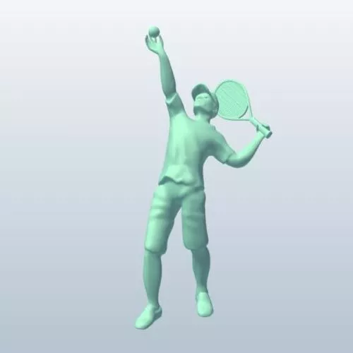 Swedish Wall 3d model