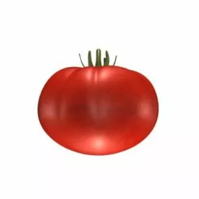 Tomato 3d model