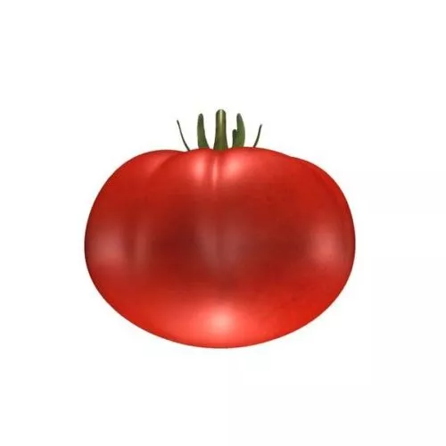 Tomato 3d model Tomato 3d model
