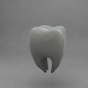 Human Tooth 3d model