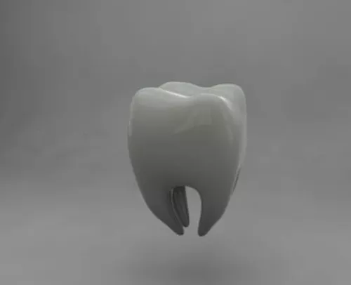 Human Bone 3d model