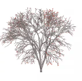 Nature Autumn Tree 3d model