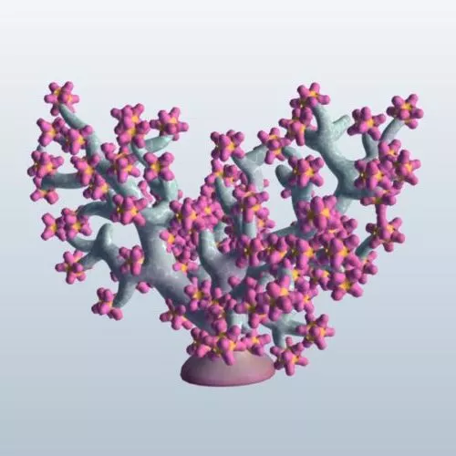 Fish Tank 3d model