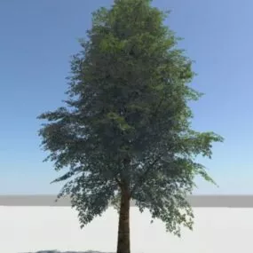 Single Green Tree 3d model