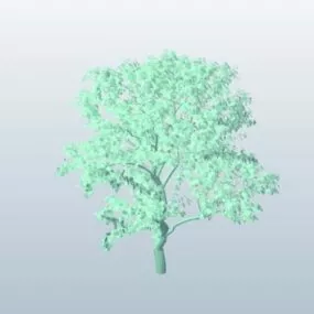 Tree Sketch Lowpoly 3d model