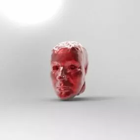 Tuce Head Sculpture 3d model