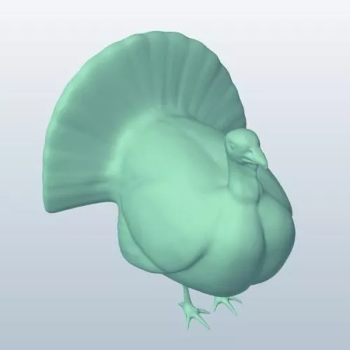 Turkey Wild Animal 3d model Turkey Wild Animal 3d model