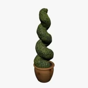 Twisted Topiary Plant 3d model