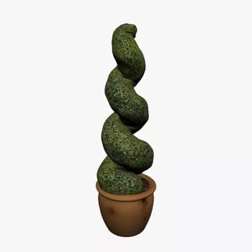 Twisted Topiary Plant 3d model Twisted Topiary Plant 3d model