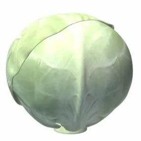 Fresh Vegetable 3d model