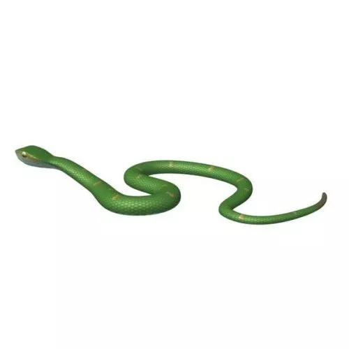 Animated Snake 3d model