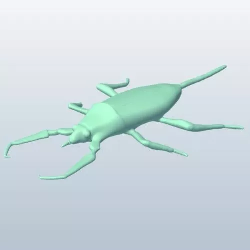 Water Scorpions Bug 3d model Water Scorpions Bug 3d model