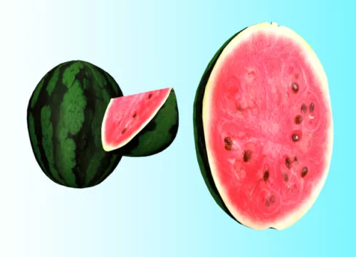 Watermelon Slices 3d model Watermelon Slices 3d model
