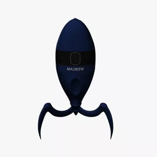 Wild Desert Spider 3d model