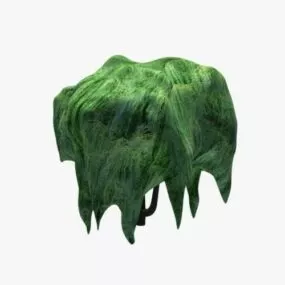 Green Willow Tree 3d model