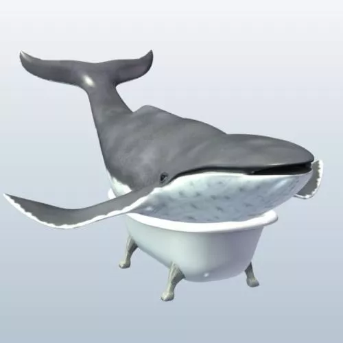 Whale Skeleton 3d model