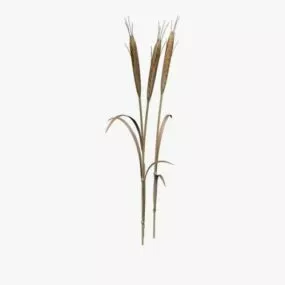 Wheat Field 3d model