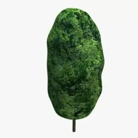 Green Ash Tree Lowpoly 3d model