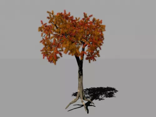 Autumn Leaf Tree 3d model Autumn Leaf Tree 3d model