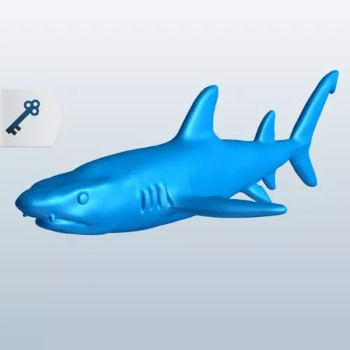 Great White Shark Lowpoly 3d model
