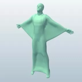 Wing Suit Guy Printable 3d model