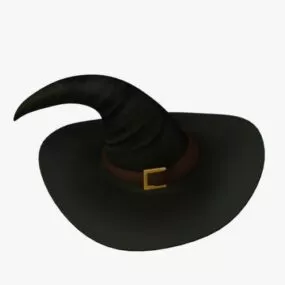 Witch Hat 3d model