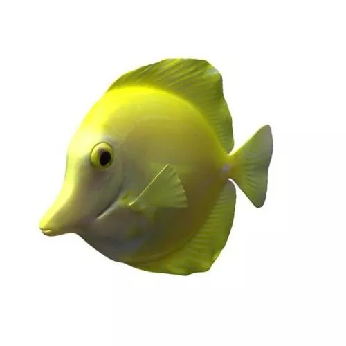 Piranha 3d model