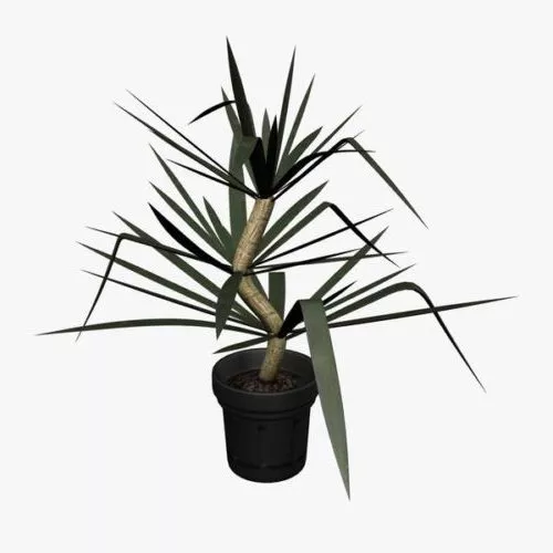 White Flower Pot Tableware 3d model