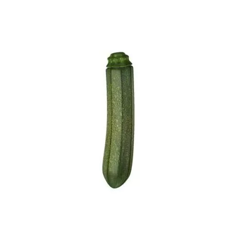 Zucchini Courgette 3d model Zucchini Courgette 3d model