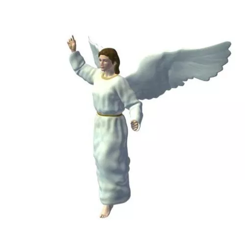 Angel Wings Character 3d model Angel Wings Character 3d model