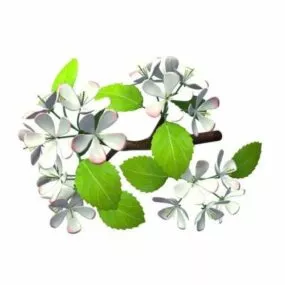 Apple Tree Branch 3d model