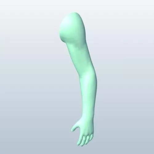 Arm Sculpt 3d model Arm Sculpt 3d model
