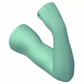 Human Arm Sculpt 3d model