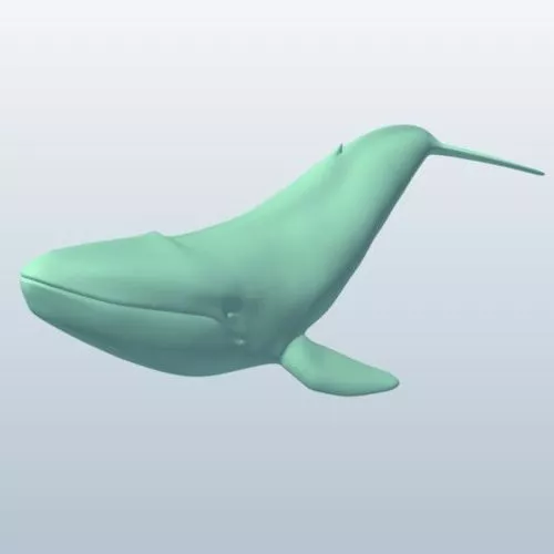 Big Whale Lowpoly 3d model