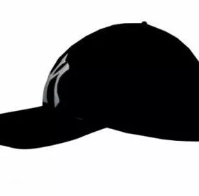 Ny Cap 3d model