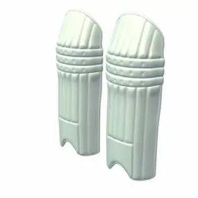 Sport Cricket Protect 3d model